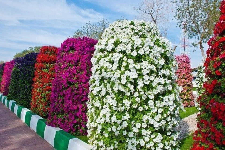 вертикальная клумба